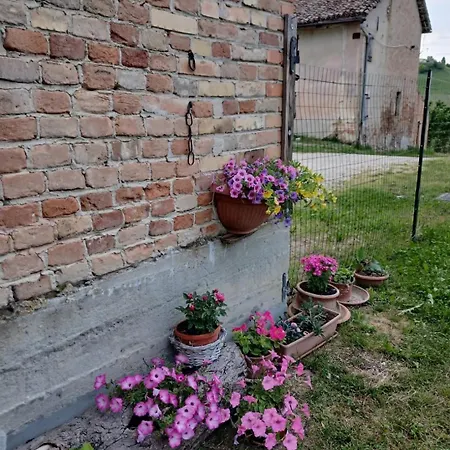 Spazio Di Langa Tatil Evi *
