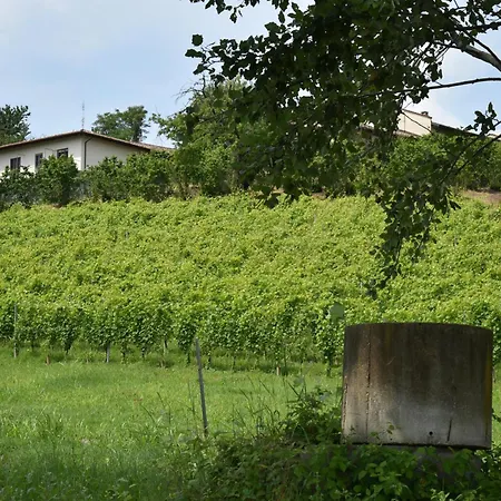 Tatil Evi Spazio Di Langa Serra (Cuneo)